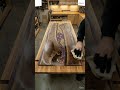 Raw Wood, Resin, and Gold: UNBELIEVABLE Crystal Geode Table Transformation 💜