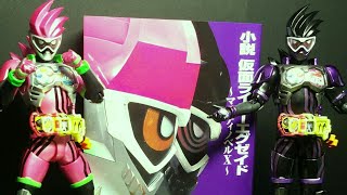 今さら！［小説　仮面ライダーエグゼイド～マイティノベルX～］の感想#234