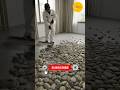nice room #shortvideos #smartphone #runlock #viral #funny #shortsviral