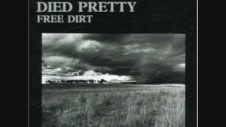 Video thumbnail of "Died Pretty - Blue Sky Day (1986)"