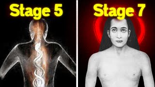 The Seven Stages To 