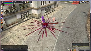 [Ran online GS 2017] Skill of Class Assassin Int