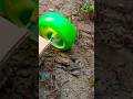 Rc remote control car #shortsfeed #shorts #trending #viral #shorts #experiment