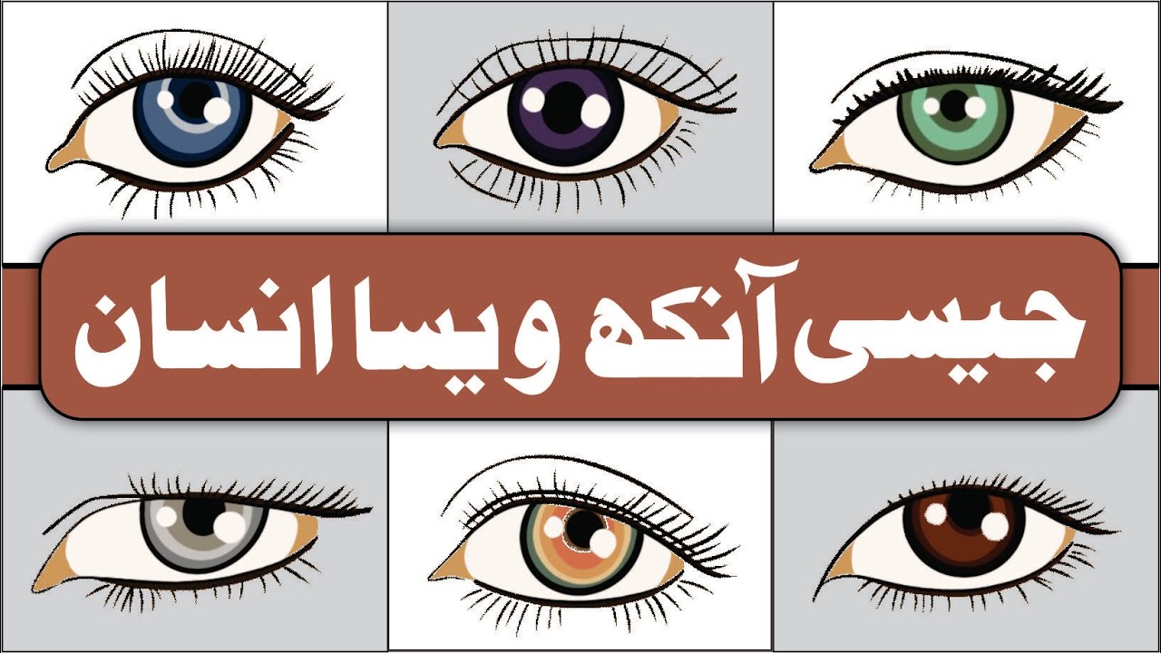 Aankhon se INSAN KI PEHCHAN - Aankhon se INSAN KI MIZAJ || Dr. Fahad Artani Roshniwala Roshni Centre