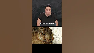 ● Что символизирует заяц?┃Заяц Альбрехта Дюрера и Северное Возрождение┃#Дюрер #Искусство