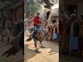 Amazing engineering cocktail bird shaped machine on village