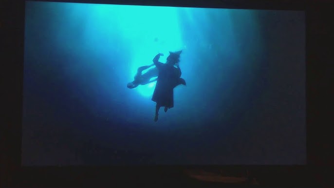 La forma del agua” y los 10 mejores carteles con 'spoilers' que chafan el  final de la película 