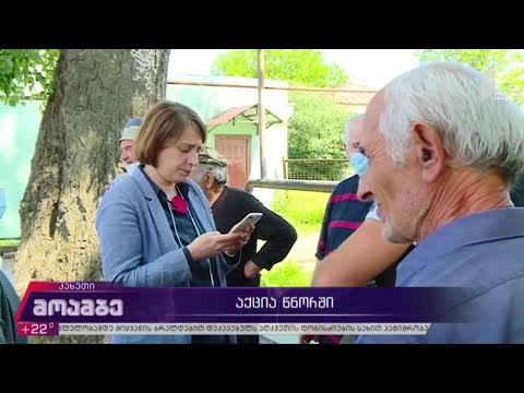 აქცია წნორში