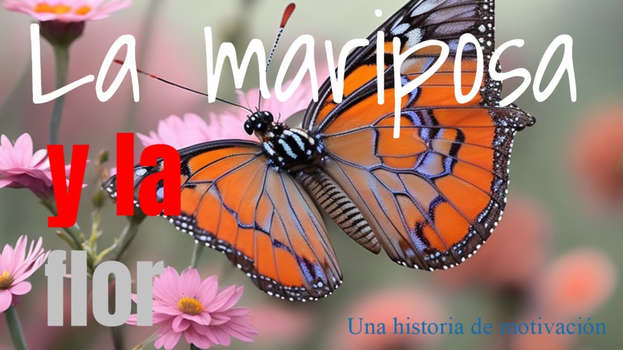 "La mariposa y la flor Una historia de amor que conmoverá hasta las