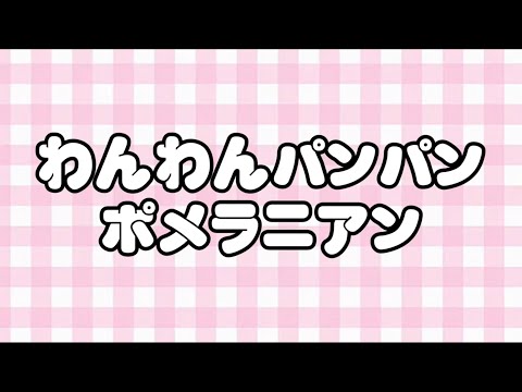 わんわんパンパンポメラニアン / ninini　Music Video
