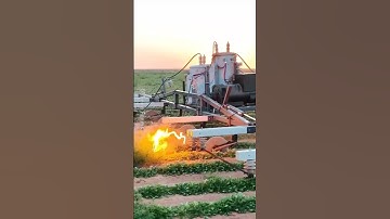 INSANE way to kill off weeds ⚡️