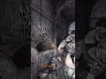 Simple and to the point 👍🏼 #metro2033 #metro #gaming #funny