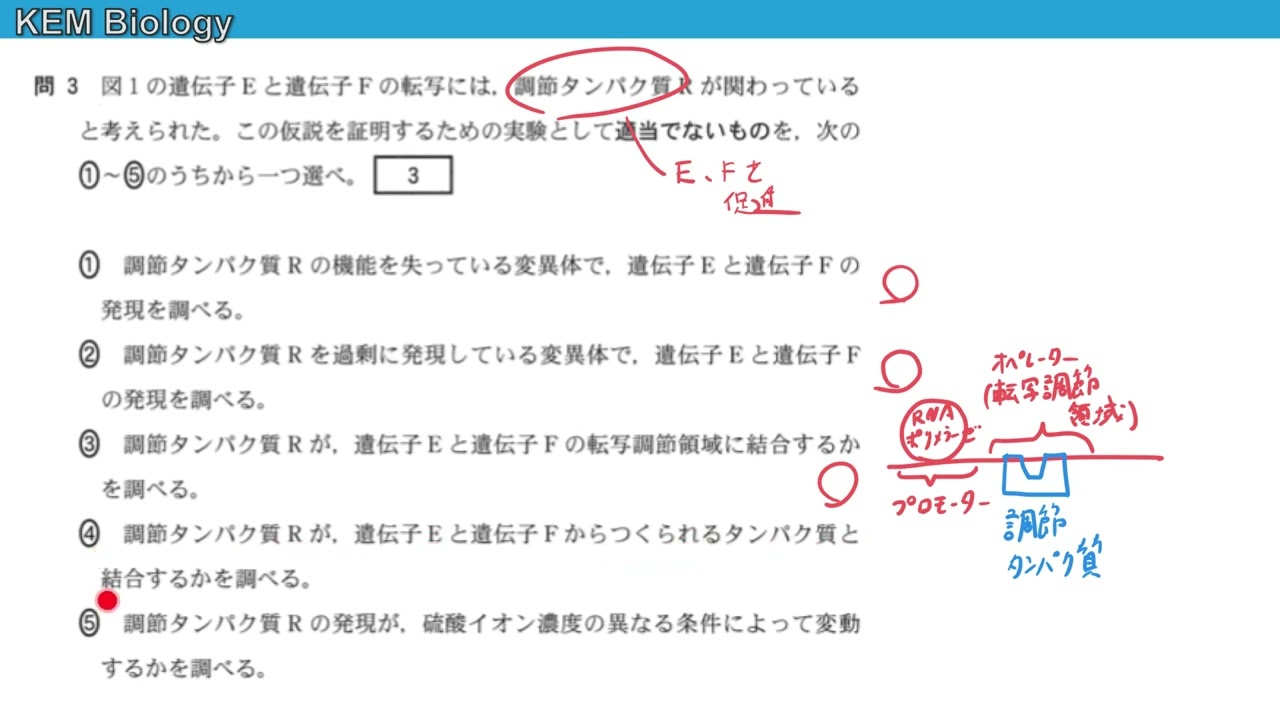 高校生物「共通テスト2022年度(2023年)本試験　大問1