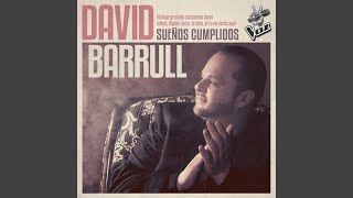 Miniatura de vídeo de "David Barrull - Me Siento Solo"
