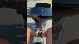 Resgatei uma cobra coral do FLAMENGO! 🐍♥️🖤