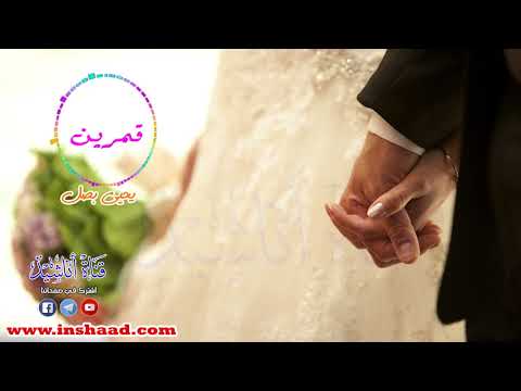 قمرين يحيى بصل أعراس Wedding Song Yahya Bassal 
