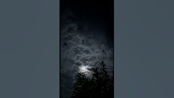 #تلاوة_خاشعة من #سورة_النمل #القارئ #محمد_اللحيدان #قرآن #القرآن_الكريم #quran