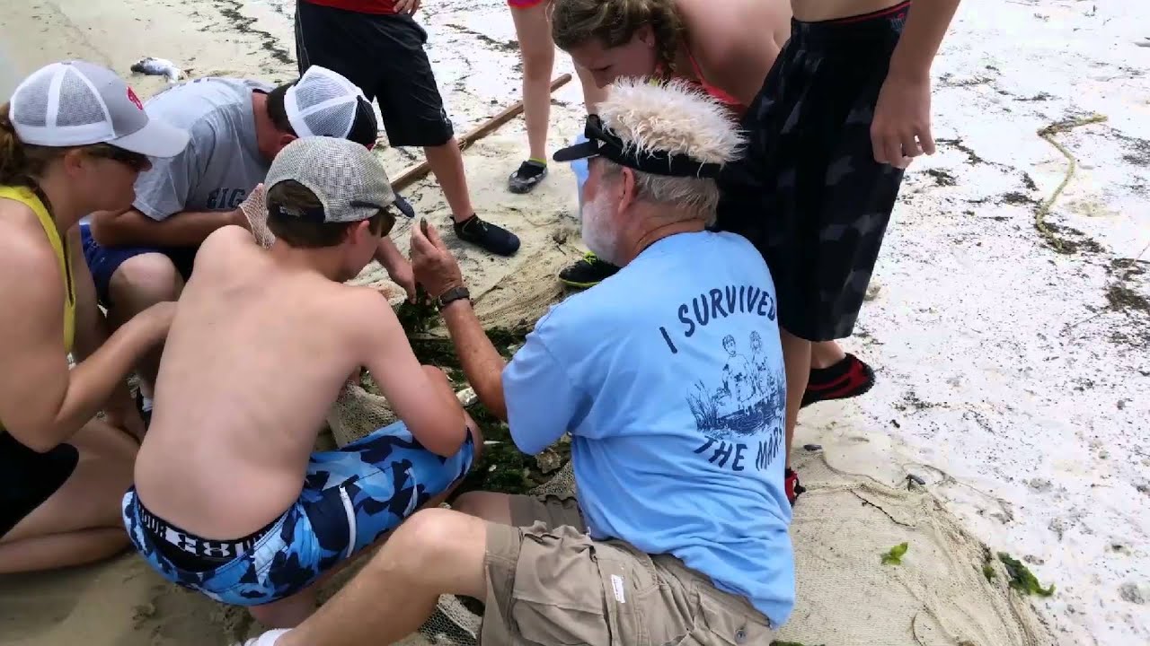 camera iphone 8 plus apk Marine Science Adventures, May 15, 2015