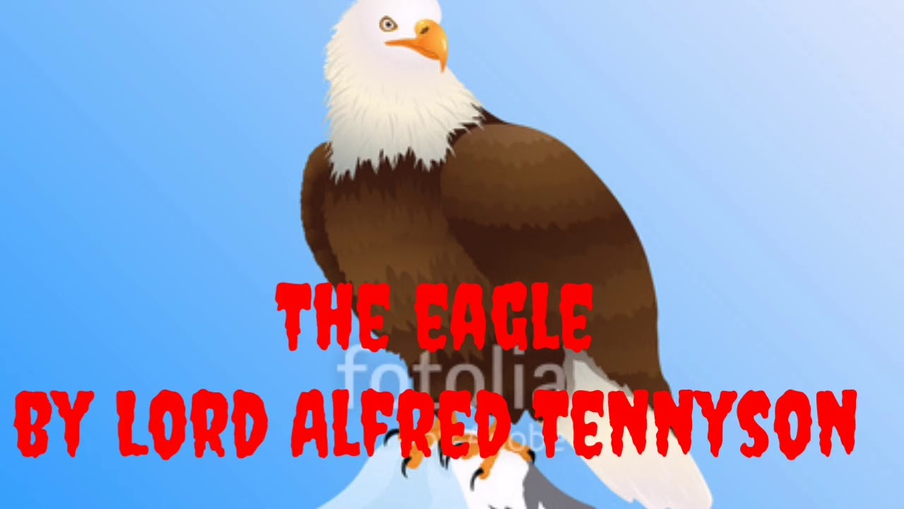 The Eagle poem summary - YouTube