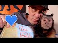 Capuchin MonkeyBoo Bedtime Story   I Love My Daddy