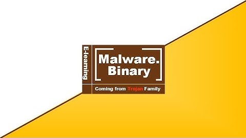 E8 Malware Binary