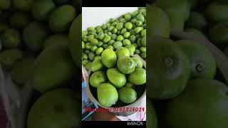 Naturally grown | Organic Mango pickle|Home made -GoTo Spoc -- your wellness partner [Ulavan Veedu]