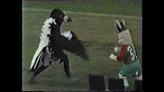 1985 Feathers & Fur fly, Magpie & Rabbit fight on