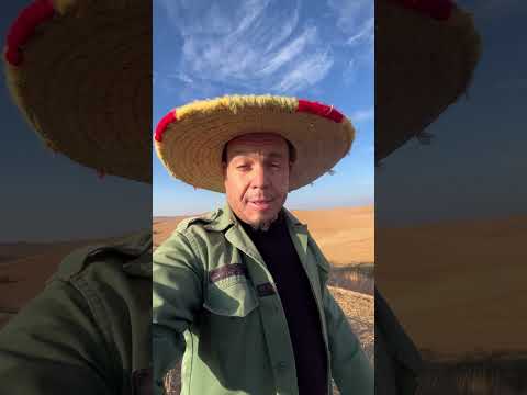 كاتخدم سيمانة كاملة أومكافياش فالسوق  كوميديات هتضحك