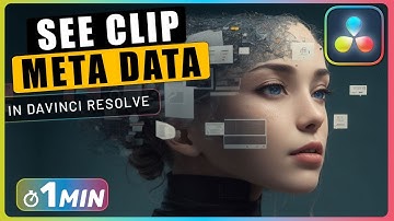 How to See Clips META DATA in Davinci Resolve