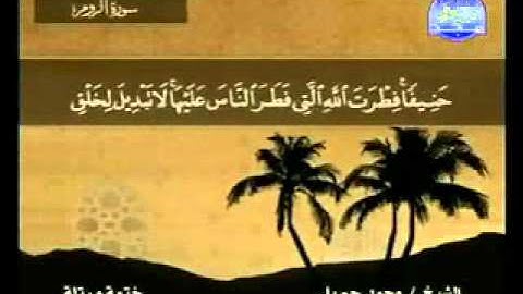 سورة الروم الشيخ محمد جبريل