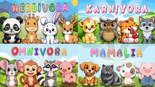 VIDEO KOMPILASI BELAJAR MENGENAL HEWAN-HEWAN | HERBIVORA, KARNIVORA, OMNIVORA