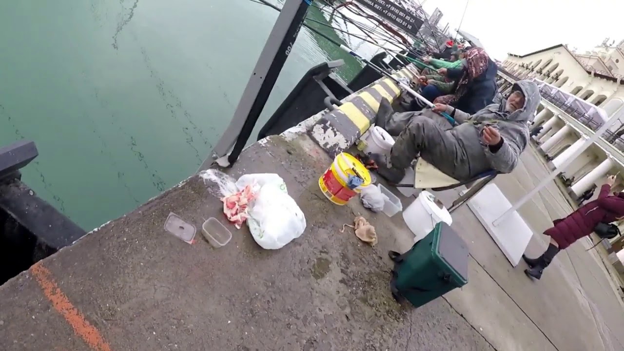 19.01.2019 ,Сочи морпорт,ловля кефали