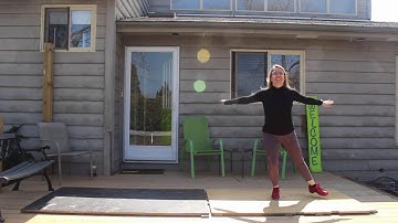 Wing Timestep Breakdown