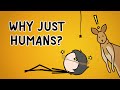 Human Fainting and Blood Flow