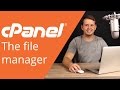 cPanel beginner tutorial 3 - managing files in the file manager