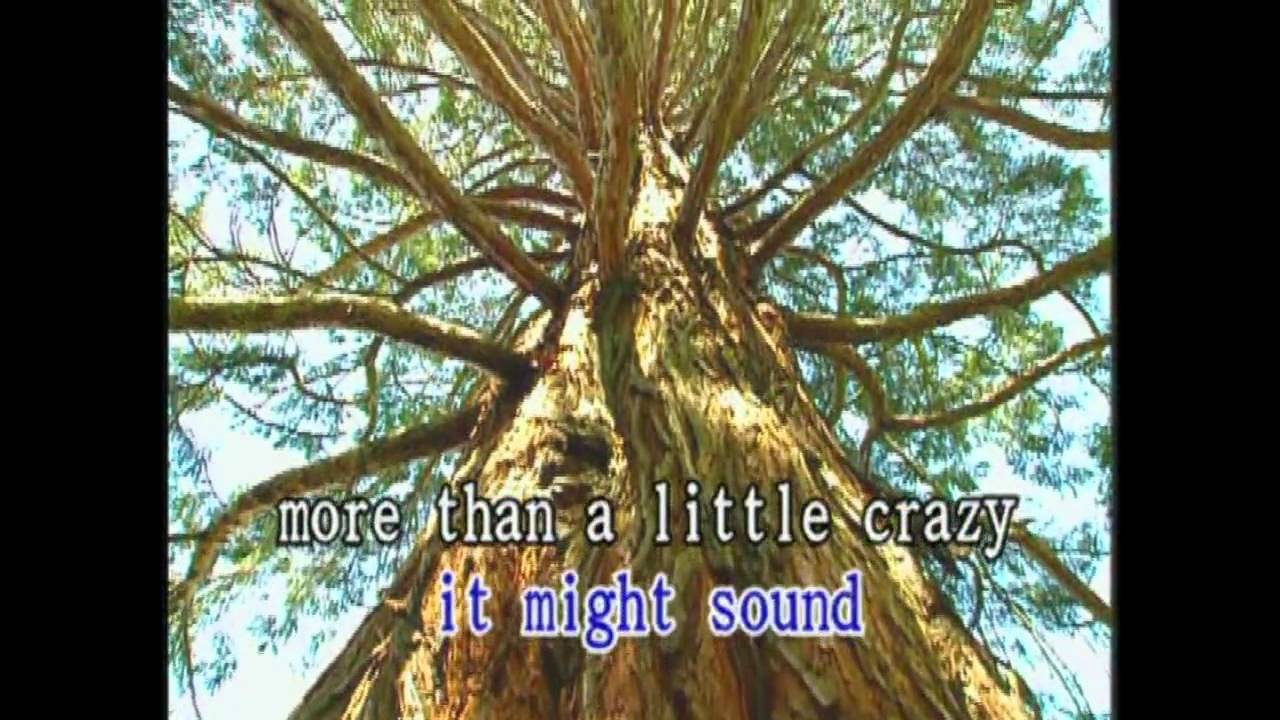 You Will Be Found Karaoke