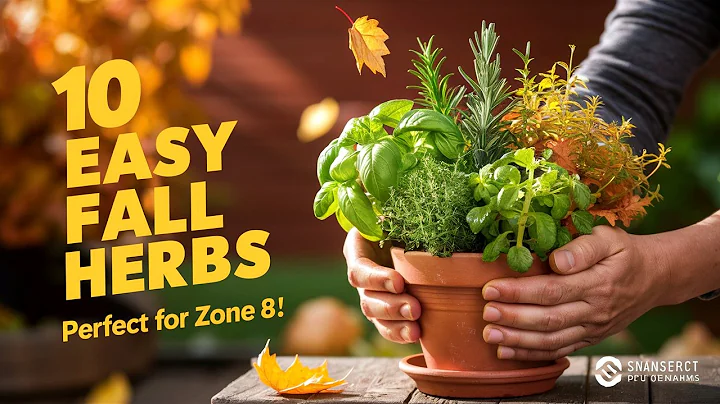 10 Easy Herbs to Grow in Fall for Beginners | Perfect for Zone 8!