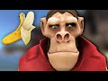 THE MONKEY UPDATE TF2