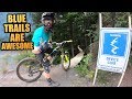 BLUE MTB TRAILS IN WHISTLER BIKE PARK ARE AWESOME!