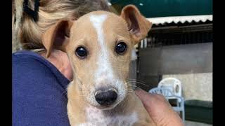 Ausreiseticket für ein Leben