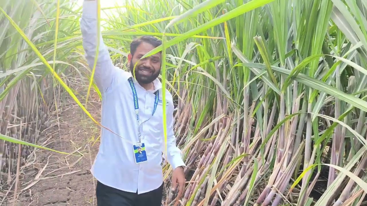 भरणी झाल्यावर ह्या चुका करू नका? भरणी झाले म्हणजे झाले नाही? #वस्ताद #mh_09_पॅटर्न #वस्ताद_किट 