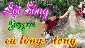 Lội Sông Giăng Lưới Cá Lòng Tong và Bữa Cơm Tuyệt Vời Của Mẹ Nấu | Xóm Ốc Đảo