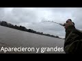 Increíble Pesca en esta época del año regalo de la naturaleza Gracias Dios!!!!!