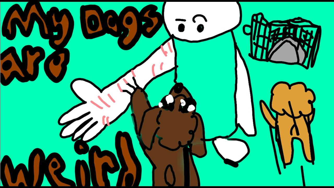 My Dog's Weird Traits...