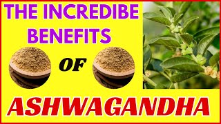 Discover the Magic of Ashwagandha: An Ancient Herb for Modern Times