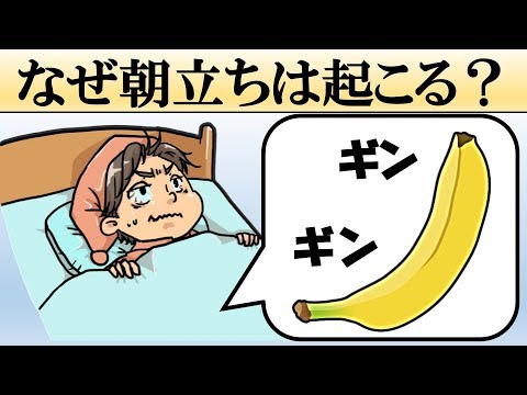 【科学】なぜ朝立ちが起こるの？