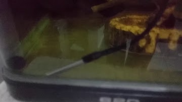 Make your own IOT Fish Tank Temperature Probe  ESP8266 WiFi