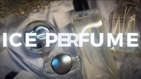 AIS 205 VIDEO ASSIGNMENT