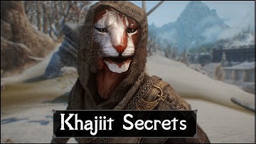 Skyrim: 5 Things They Never Told You About The Khajiits