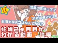 妊娠2ヶ月目がわかる動画　後編【プレママパパ向け】